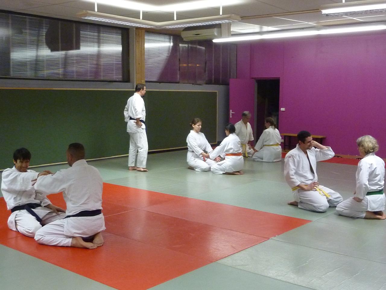 Travail kata à genoux Dojo Wa-Jutsu Agenais février 2017