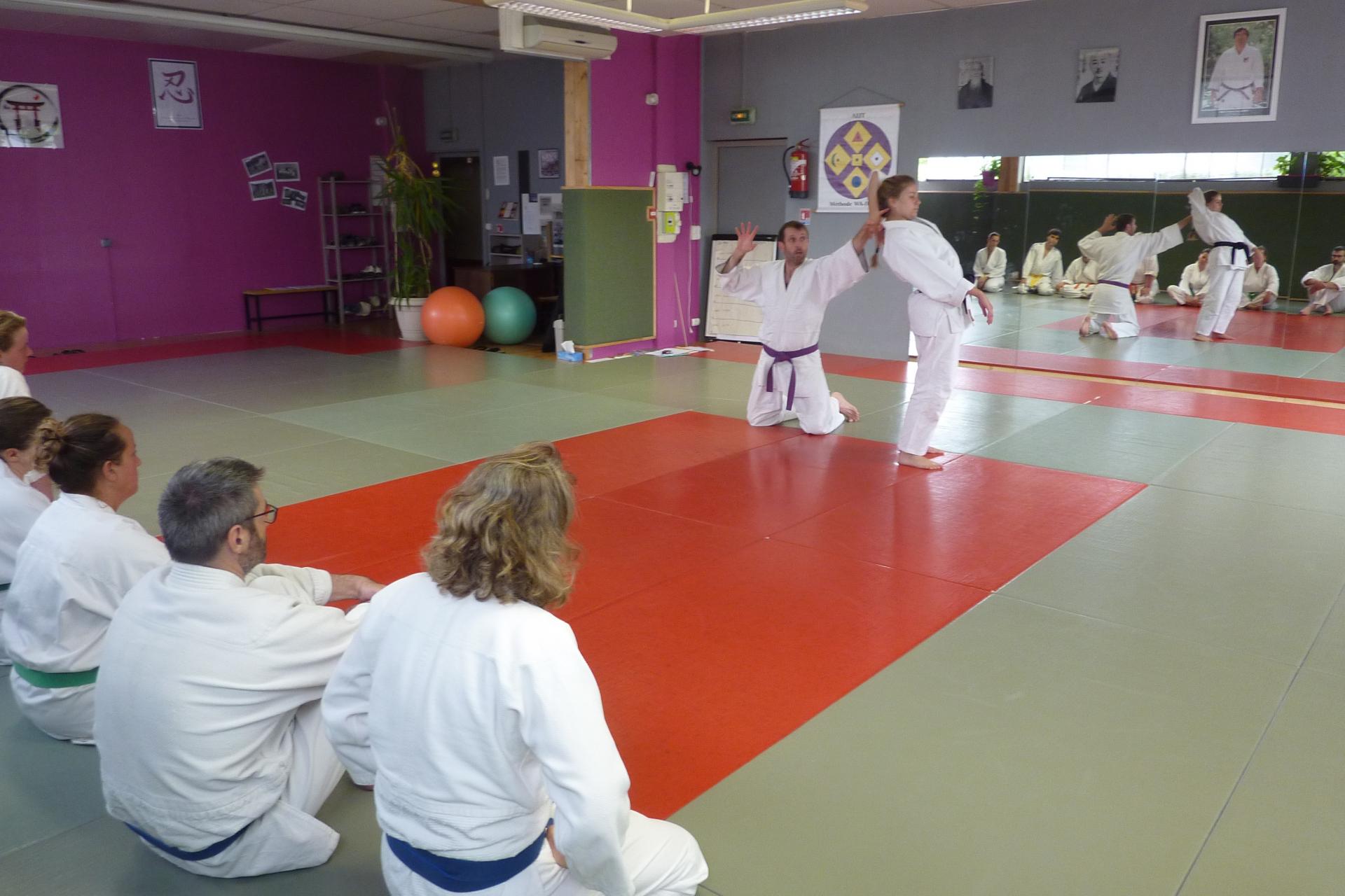 Cours commun Agen-Villeneuve Wa-Jutsu Agenais 16 juin 2018